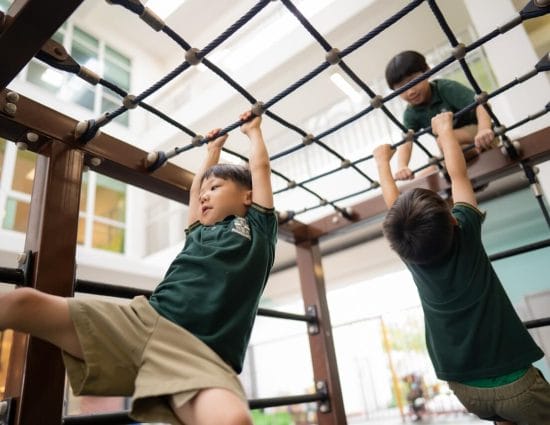 Early Years Monkey Bar